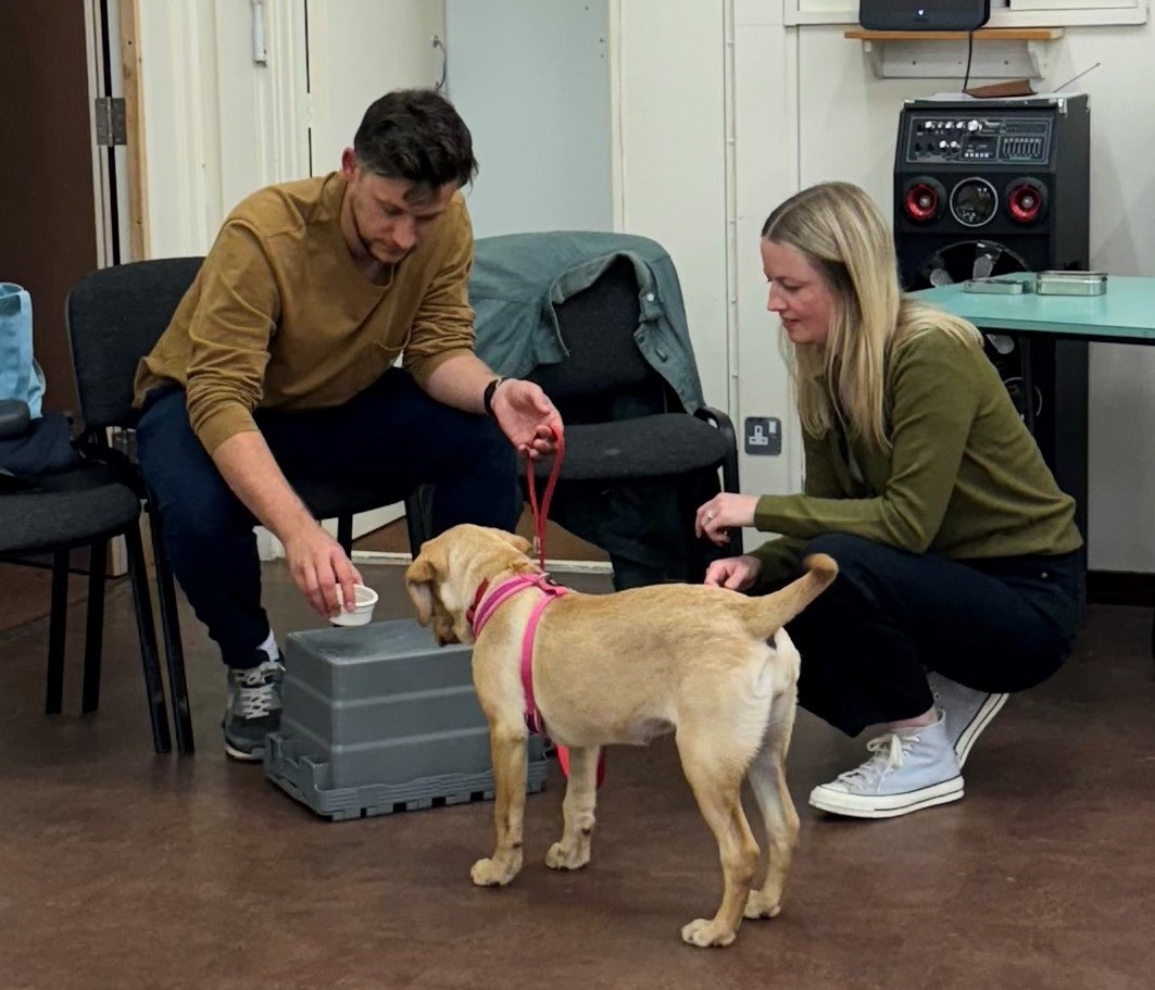 Pup Tutorial Class Puppy Training Class | Puppy Socialization | Boxhill Surrey